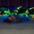 Bilder 2019 - School on Stage